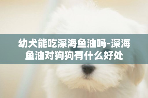 幼犬能吃深海魚油嗎-深海魚油對狗狗有什么好處