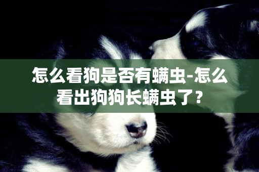 怎么看狗是否有螨蟲-怎么看出狗狗長螨蟲了？