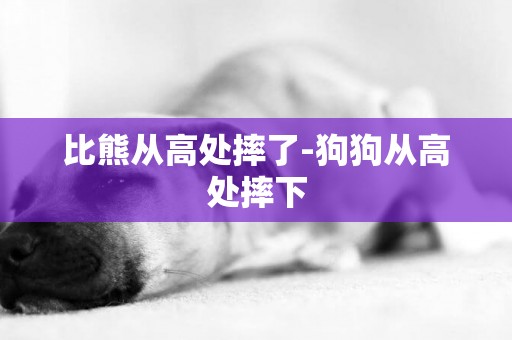 比熊從高處摔了-狗狗從高處摔下