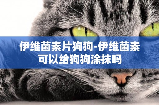伊維菌素片狗狗-伊維菌素可以給狗狗涂抹嗎