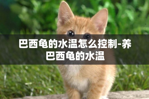 巴西龜的水溫怎么控制-養巴西龜的水溫