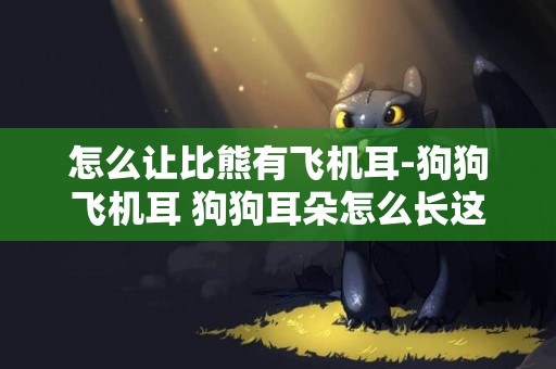 怎么讓比熊有飛機耳-狗狗飛機耳 狗狗耳朵怎么長這樣了