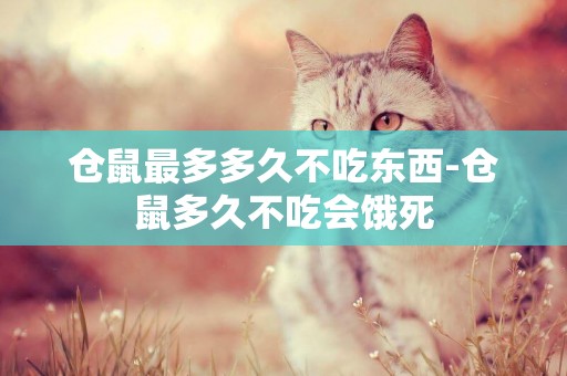 倉鼠最多多久不吃東西-倉鼠多久不吃會餓死