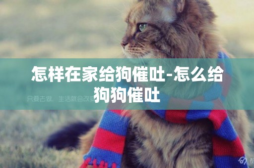 怎樣在家給狗催吐-怎么給狗狗催吐