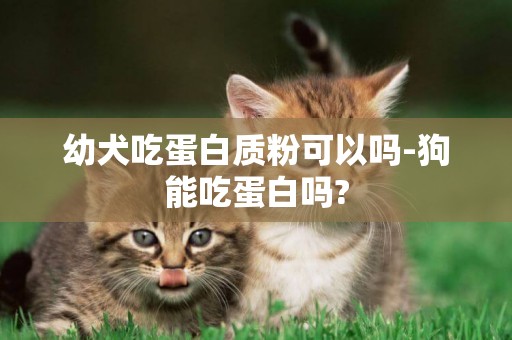 幼犬吃蛋白質粉可以嗎-狗能吃蛋白嗎?