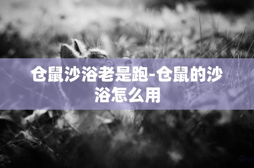 倉鼠沙浴老是跑-倉鼠的沙浴怎么用