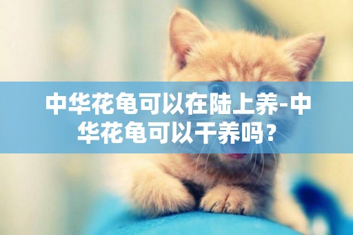 中華花龜可以在陸上養-中華花龜可以干養嗎？
