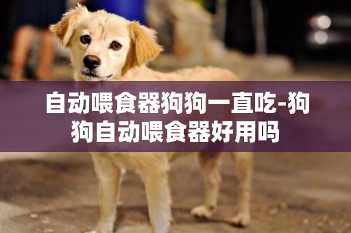 自動喂食器狗狗一直吃-狗狗自動喂食器好用嗎