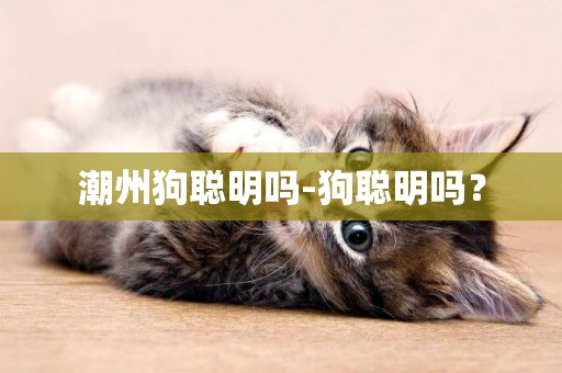 潮州狗聰明嗎-狗聰明嗎？