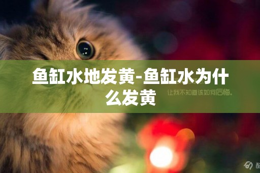 魚缸水地發黃-魚缸水為什么發黃