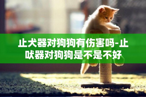 止犬器對狗狗有傷害嗎-止吠器對狗狗是不是不好