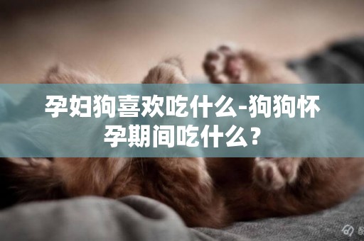 孕婦狗喜歡吃什么-狗狗懷孕期間吃什么？