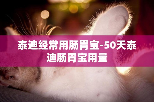泰迪經常用腸胃寶-50天泰迪腸胃寶用量