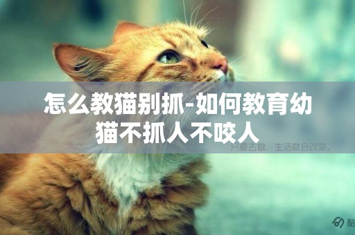 怎么教貓別抓-如何教育幼貓不抓人不咬人