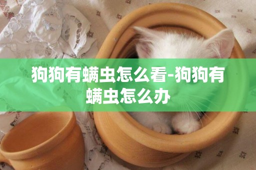 狗狗有螨蟲怎么看-狗狗有螨蟲怎么辦