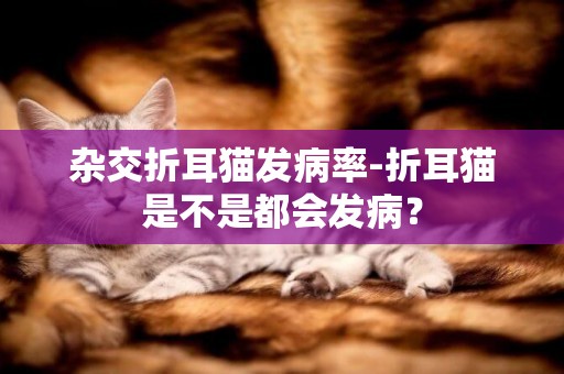 雜交折耳貓發病率-折耳貓是不是都會發病？