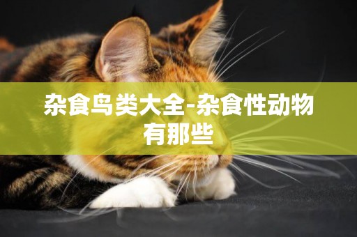 雜食鳥類大全-雜食性動物有那些