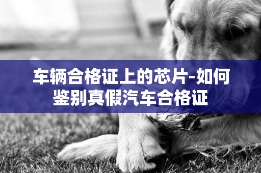 車輛合格證上的芯片-如何鑒別真假汽車合格證