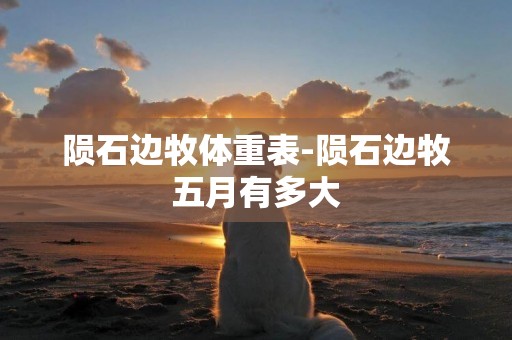隕石邊牧體重表-隕石邊牧五月有多大