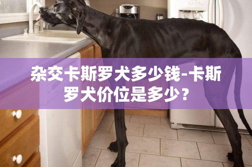 雜交卡斯羅犬多少錢-卡斯羅犬價位是多少？