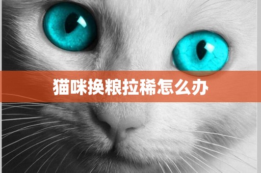 貓咪換糧拉稀怎么辦