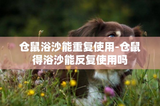 倉鼠浴沙能重復使用-倉鼠得浴沙能反復使用嗎