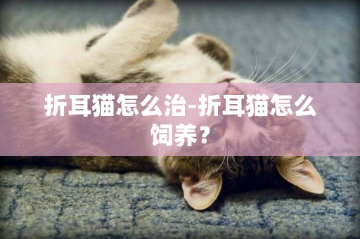 折耳貓怎么治-折耳貓怎么飼養？