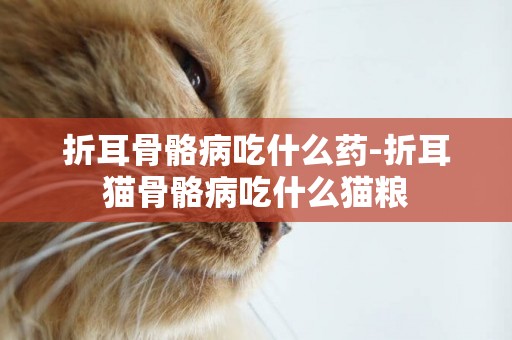 折耳骨骼病吃什么藥-折耳貓骨骼病吃什么貓糧