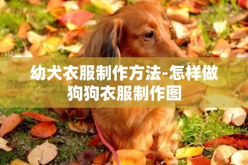 幼犬衣服制作方法-怎樣做狗狗衣服制作圖