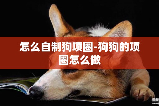 怎么自制狗項圈-狗狗的項圈怎么做