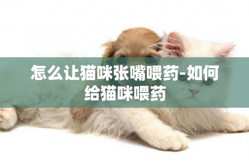 怎么讓貓咪張嘴喂藥-如何給貓咪喂藥