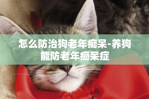 怎么防治狗老年癡呆-養狗能防老年癡呆癥