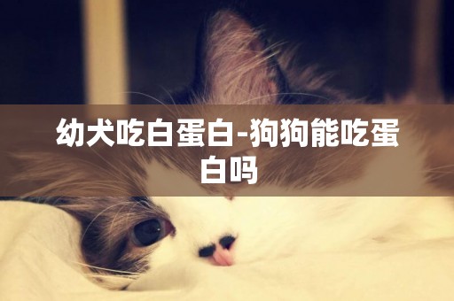 幼犬吃白蛋白-狗狗能吃蛋白嗎