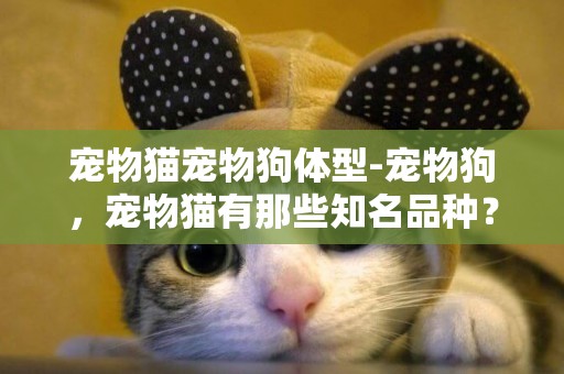寵物貓寵物狗體型-寵物狗，寵物貓有那些知名品種？