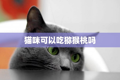 貓咪可以吃獼猴桃嗎