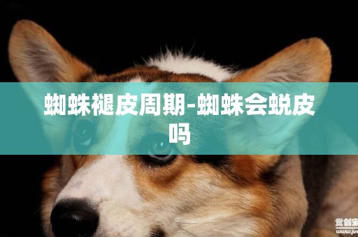 蜘蛛褪皮周期-蜘蛛會蛻皮嗎