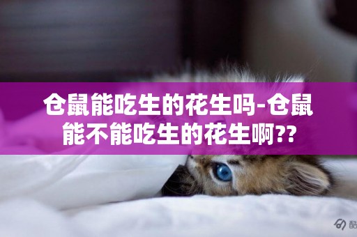 倉鼠能吃生的花生嗎-倉鼠能不能吃生的花生啊??