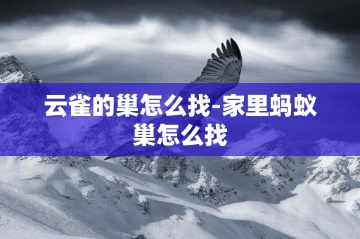 云雀的巢怎么找-家里螞蟻巢怎么找