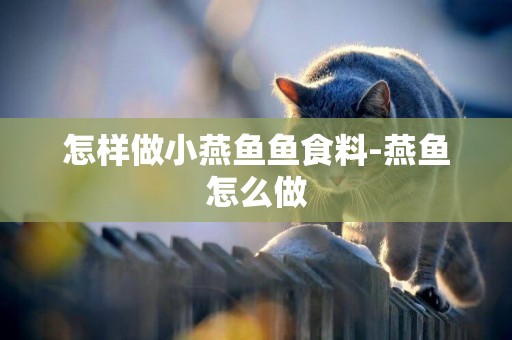 怎樣做小燕魚魚食料-燕魚怎么做