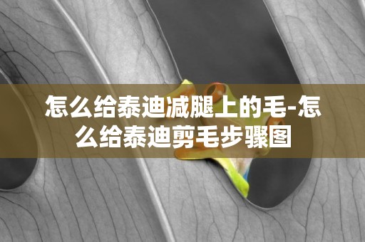 怎么給泰迪減腿上的毛-怎么給泰迪剪毛步驟圖