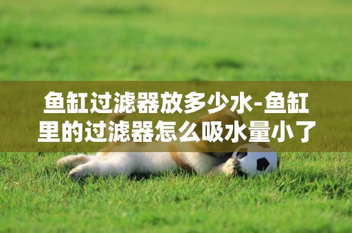 魚缸過濾器放多少水-魚缸里的過濾器怎么吸水量小了??