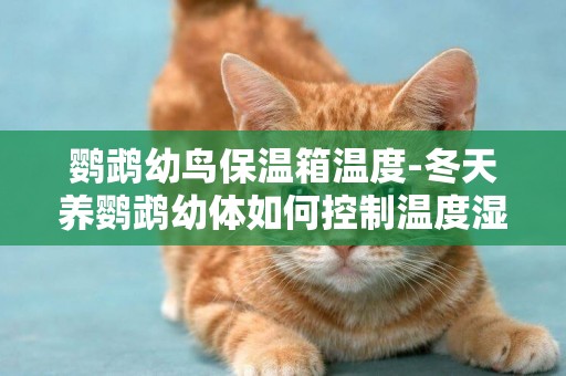 鸚鵡幼鳥保溫箱溫度-冬天養鸚鵡幼體如何控制溫度濕度