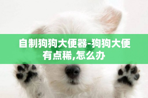 自制狗狗大便器-狗狗大便有點稀,怎么辦