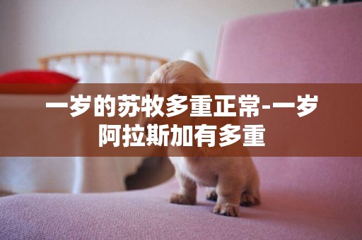 一歲的蘇牧多重正常-一歲阿拉斯加有多重