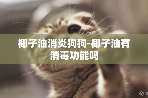 椰子油消炎狗狗-椰子油有消毒功能嗎
