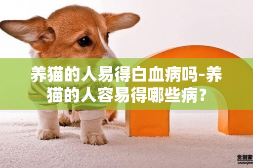 養貓的人易得白血病嗎-養貓的人容易得哪些病？