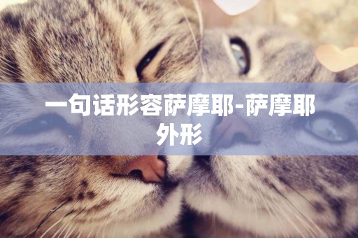 一句話形容薩摩耶-薩摩耶外形