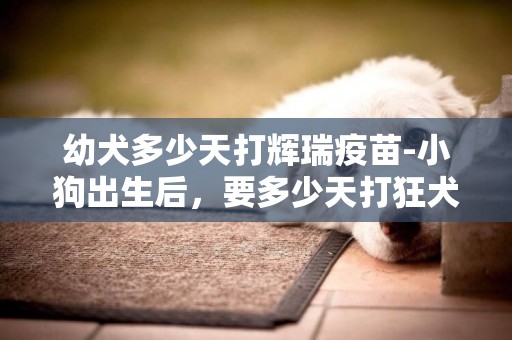幼犬多少天打輝瑞疫苗-小狗出生后，要多少天打狂犬疫苗，細小針