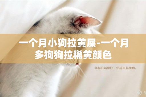 一個月小狗拉黃屎-一個月多狗狗拉稀黃顏色