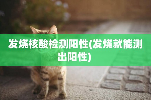 發燒核酸檢測陽性(發燒就能測出陽性) 